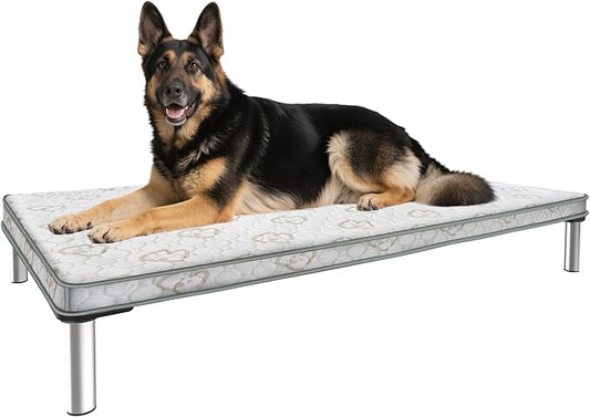 FXW TitanNest Chew-Proof Elevated Dog Bed, Raised Cot for Indoor/Outdoor/Camping Use, Durable & Washable Padded Pet Bed with Exclusive Cover for Large Dogs, 50.0" L x 31.0" W x 7.3" H, Gray