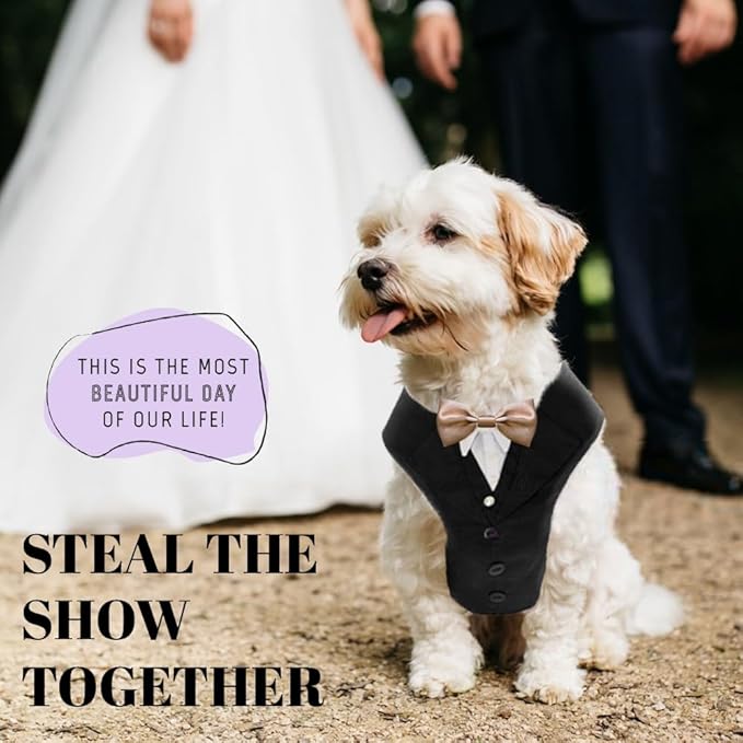 AVERYDAY Dog Tuxedo for Wedding Outfit, Dog Suit and Tie Costumes for Birthday, Halloween, Cosplay, Christmas Party, Pet Formal Wear with Bowtie, Tux for Small Dogs, Chihuahua, Bichon, Maltese, Cats