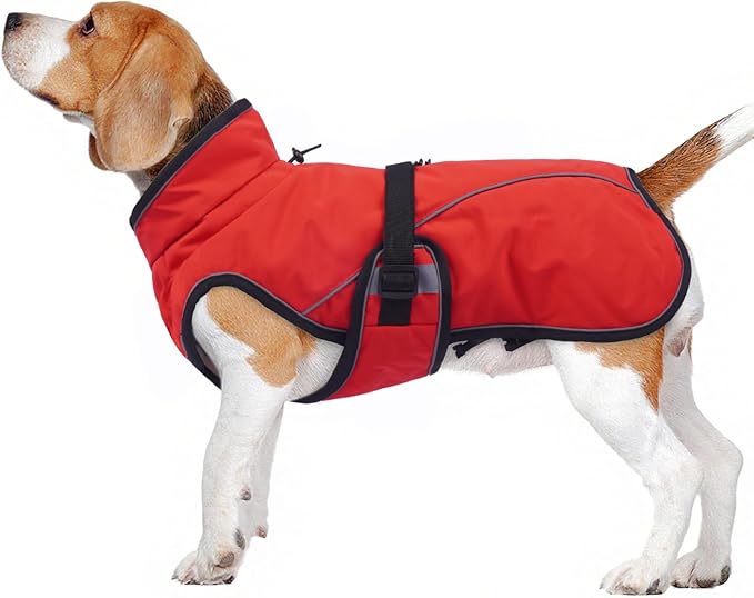 Warm Dog Coat for Winter,Waterproof Jacket with Zipper,Detachable Dog Coat with Adjustable Buckle,Comfortable Jacket for Dogs in Cold and Windy Days.L Red
