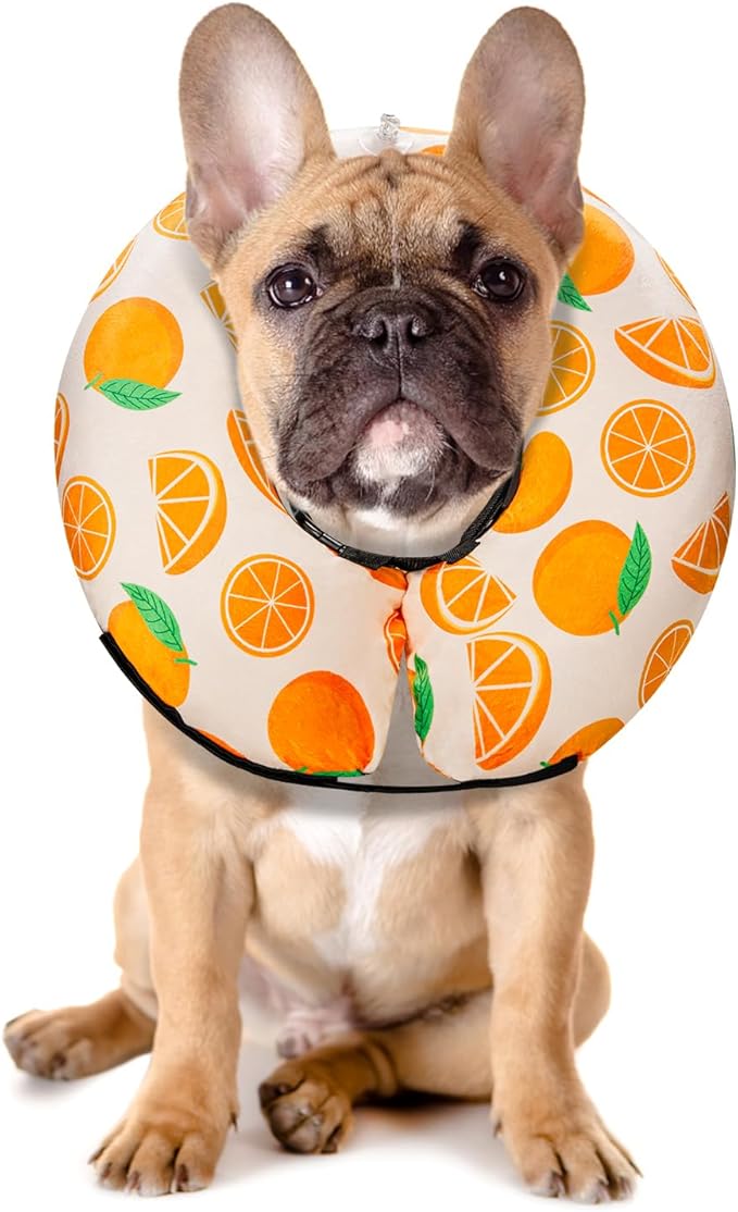MIDOG Inflatable Dog Cone Alternative for After Surgery - Soft Protective Donut Collar Prevents Licking, Comfortable Recovery E-Collar Alternative for Small Medium Large Dogs (Orange,M)