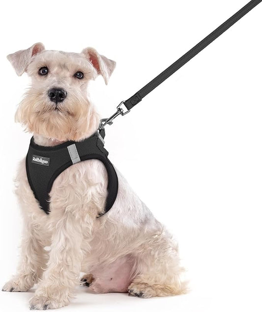 rabbitgoo Dog Harness Small Sized and Leash Set, Step in Soft Light Puppy Vest, Breathable Mesh Pet Harness, Reflective for Outdoor Safe Walking, Black XXL