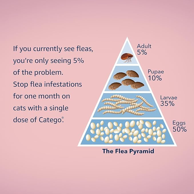 Catego for Cats Flea and Tick Treatment & Prevention (Over 1.5 lbs) 6-Month Supply