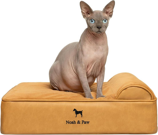 NOAH & PAW Small Dog Bed, 20x15x6.5 Inch, Cat Bed for Indoor Cats, Orthopedic Eggshell Memory Foam Infused with Cooling Gel, Waterproof, Machine Washable, Includes Inner Cover (Faux Leather)
