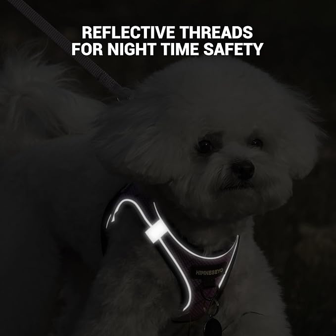 Dog Harness and Leash Set, Dog Harness for Dogs No Pull, No-Chock Step-in Reflective Breathable Lightweight Easy Walk Vest Harnesses with Safety Buckle for Small Medium Dogs, Cats (Light Purple, L)