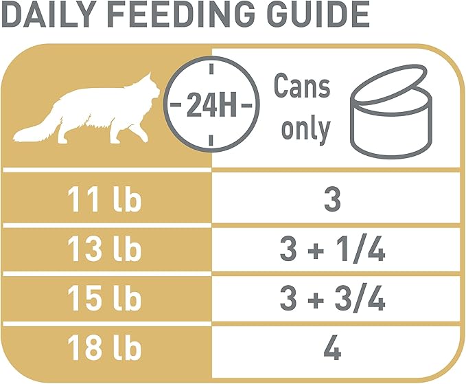 Royal Canin Feline Breed Nutrition Maine Coon Adult Thin Slices in Gravy Cat Food, 3 oz (Pack of 6)