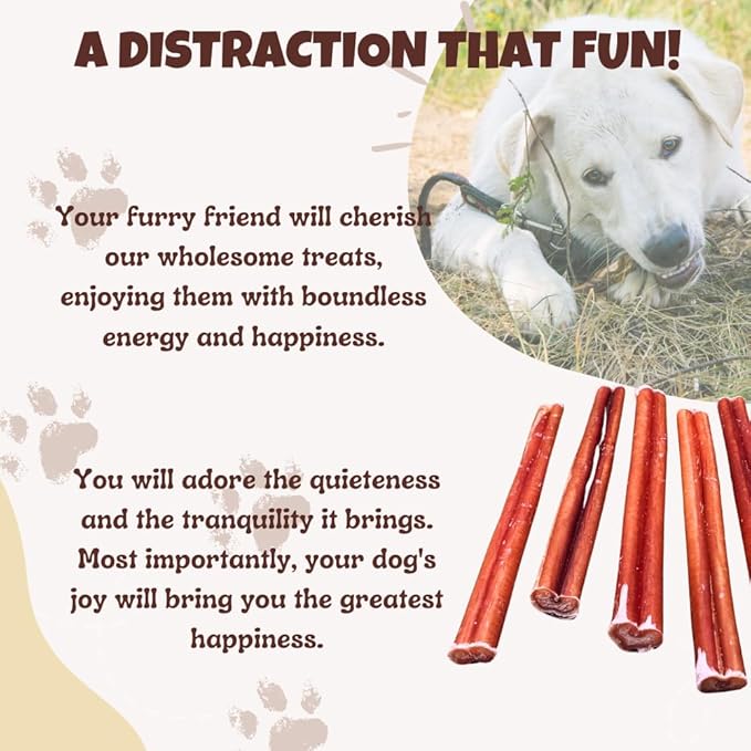 Amazing Dog Treats - 6 Inch Medium Size Bully Sticks (50 Count) - Bulk Bully Sticks for Dogs - No Hide Bully Stick Dog Bones