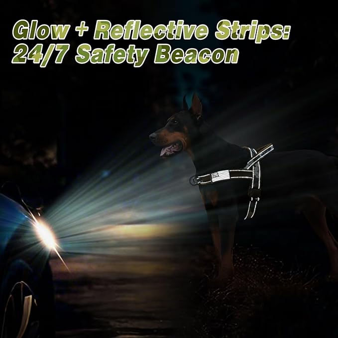 Forestpaw No Pull Dog Harness with Large Handle,Slip on Reflective Vest with Quick Release Buckle,Comfortable Flannel Lining for Medium Large Dogs Walking Training (Includes 3 Patches),Green Camo L