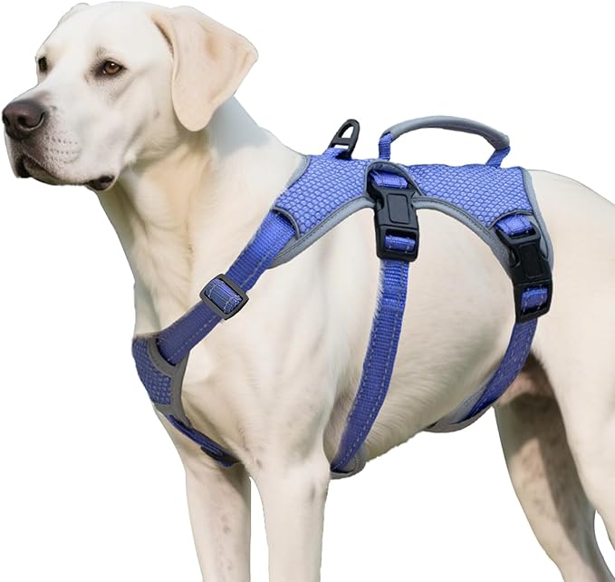 Huntboo Escape Proof Dog Harness, Escape Artist Harness, Reflective Dog Harness with Handle, Durable,Adjustable Vest for Small Medium Large Dogs Walking, Training,and Running Gear(Technicolor Blue,XL)
