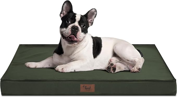 Waterproof Outdoor Orthopedic Dog Bed - All Weather Medium Pet Bed with Egg Crate Foam, Removable Washable Cover, 30x20 Inch, Dark Green