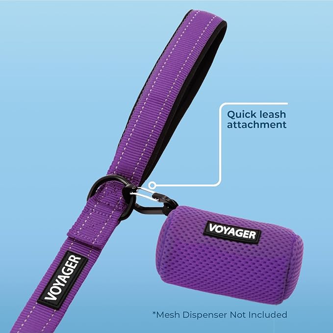 Voyager Reflective Dog Leash with Neoprene Handle, 5ft Long, Supports Small, Medium, and Large Breed Puppies, Cute and Heavy Duty for Walking, Running, and Training - Purple (Leash), M