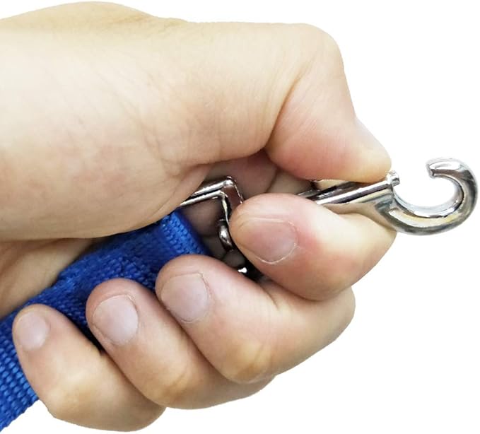 Nylon Training Dog Leash for Small Medium Large Dogs, 15ft 20ft 30ft 50ft Long Leash Dog/Puppy Lead for Obedience Recall Training, Camping (1" x 50ft, Blue)