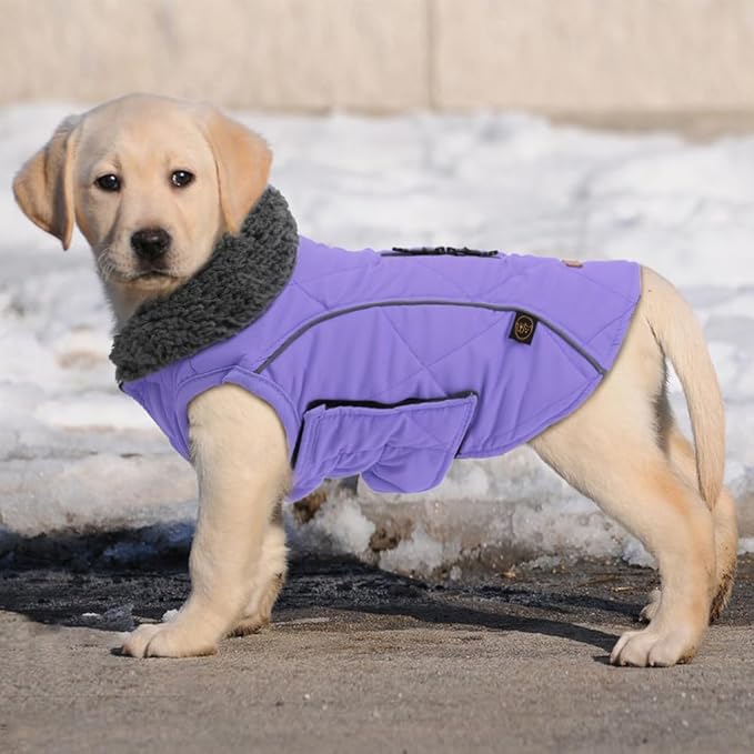 EMUST Dog Winter Coats, Windproof Dog Jackets for Cold Weather with Lofty Collar, Reflective Puppy Clothes for Small Dogs Clothes, Purple, S