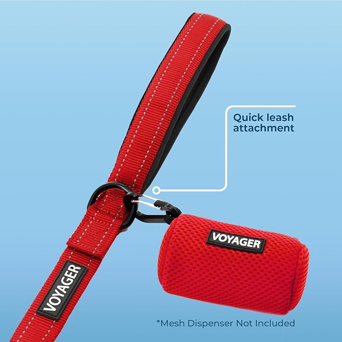 Voyager Reflective Dog Leash with Neoprene Handle, 5ft Long, Supports Small, Medium, and Large Breed Puppies, Cute and Heavy Duty for Walking, Running, and Training - Red (Leash), L