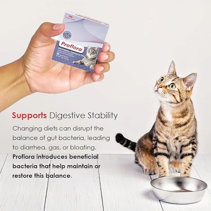 Probiotics for Cats-Complete Gut Health & Immune Support. Easy to Use Digestive Multi-Strain Probiotics. Easier Diet Transitions, Healthier Skin & Coat & Helps Treat Diarrhea. 30 Packets.