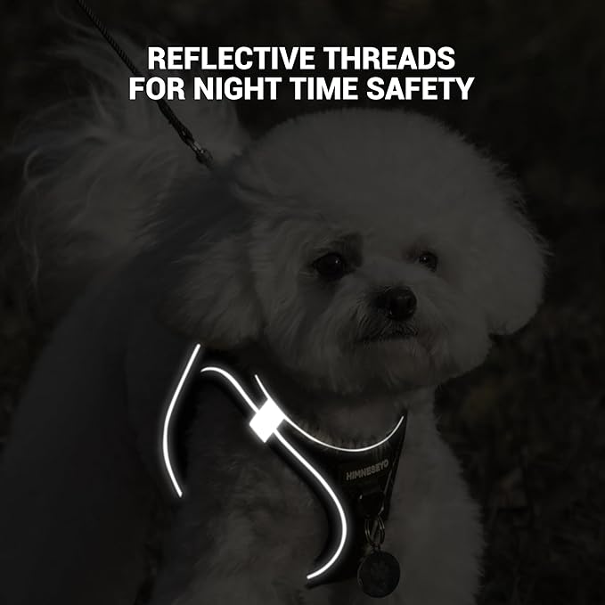 Dog Harness and Leash Set, Dog Harness for Dogs No Pull, No-Chock Step-in Reflective Breathable Lightweight Easy Walk Vest Harnesses with Safety Buckle for Small Medium Dogs, Cats (Black, M)