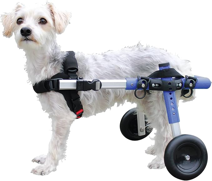 Walkin' Wheels Small Dog Wheelchair, Lightweight Dog Wheelchair for Back Legs, 15-25 lbs, for 12-15 inches Leg Height - Blue