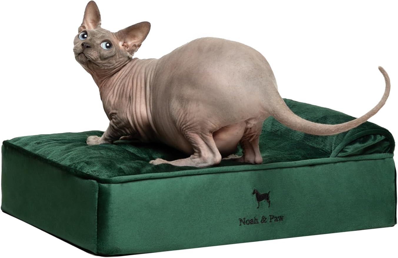 NOAH & PAW Small Dog Bed, 20x15x6.5 Inch, Cat Bed for Indoor Cats, Orthopedic Eggshell Memory Foam Infused with Cooling Gel, Waterproof, Machine Washable, Includes Inner Cover (Velvet Collection)