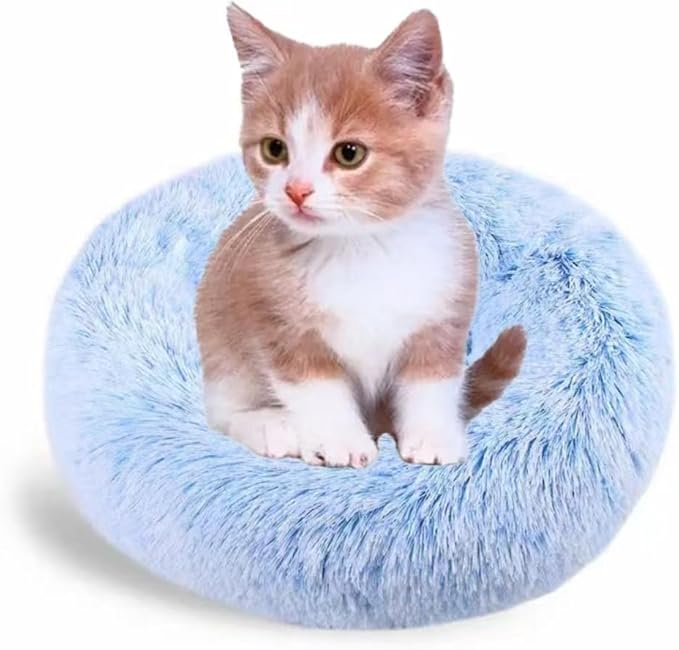 Small Cat Bed for Indoor Cats - Washable 16 Inches Kitten or Puppy Bed (Up to 5lbs) - Extra Small Dog Bed