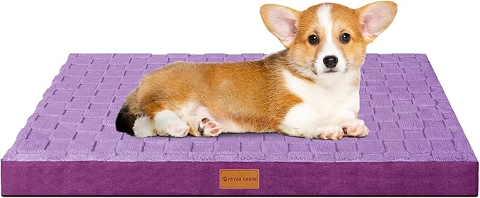 Patas Lague Orthopedic Dog Bed for Small Dogs 20''X15'', Waterproof Soft Warm Comfortable Egg Crate Foam Small Pet Beds Mat with Removable Washable Cover and Nonskid Bottom, Pueple