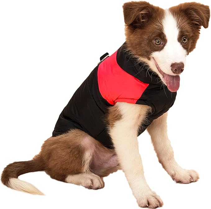 Small Dog Coats Warm Winter Jackets for Small Medium Dogs Puppy Cold Weather Coat Pet Clothes, Red, X-Large