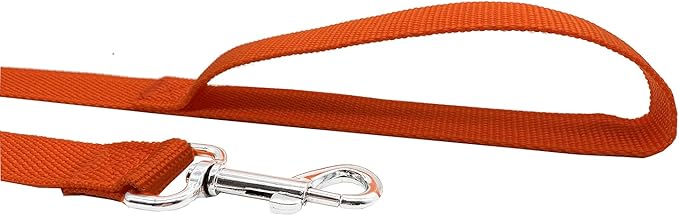 TAIDA Strong Nylon 16 Feet Long Dog Leash, 16 Foot Dog Leashes for Medium Large Dogs, 1 Inch Wide