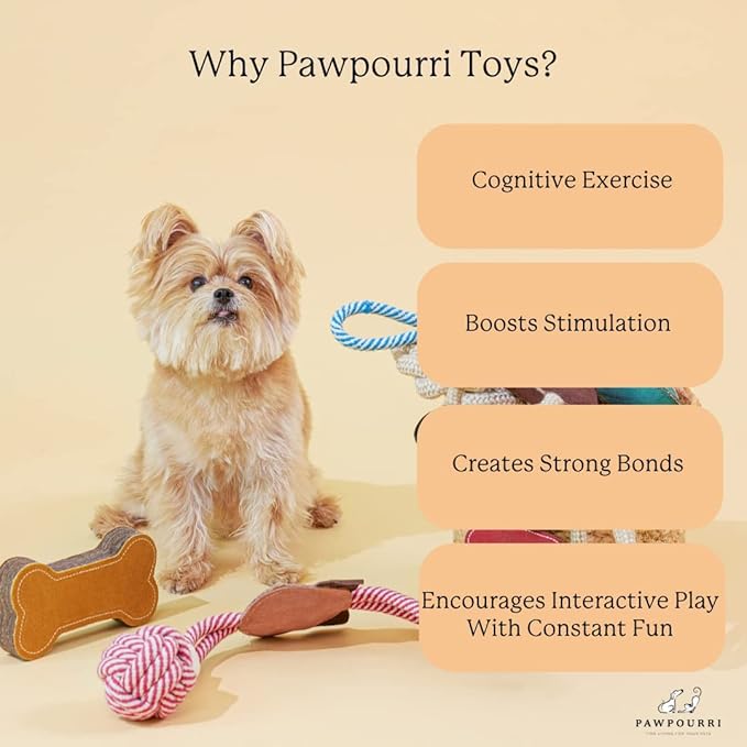 Natural Suede Leather & Rope Chew Toy with Bone for Medium to Large Dogs (Pig Shape)