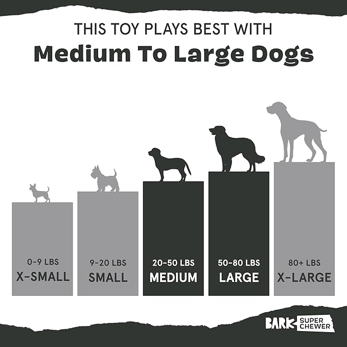 Barkbox I-Squeak Cone Dog Toy for Large Dogs, Perfect for Treat Spreading with a Wacky Bounce for Endless Playtime