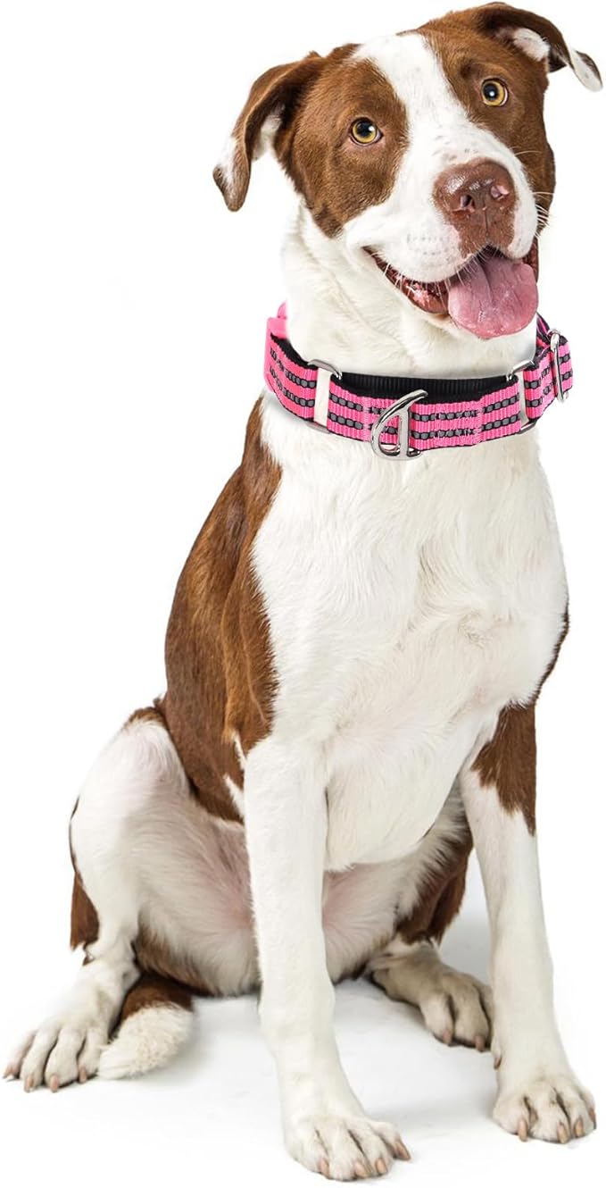 Martingale Collar for Dogs -Reflective Nylon Heavy Duty No Slip Choke Dog Collar with Padded Comfort Quick Release Buckle for Training, Walking & Overexcited Pulling Pink M