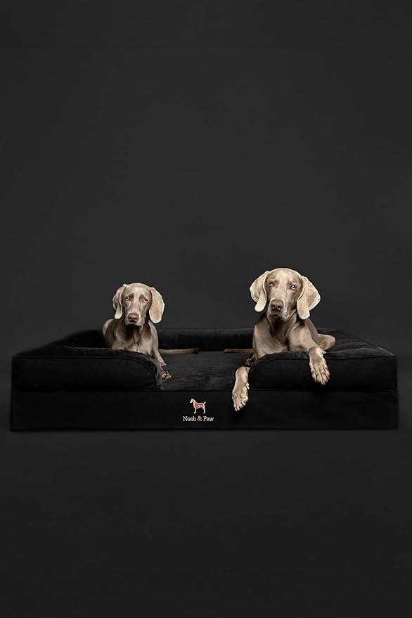 NOAH & PAW XL Dog Bed, 45x35x11 Inch, Orthopedic Large Dog Beds, Eggshell Memory Foam Infused with Cooling Gel, Inner Cover, Waterproof, Machine Washable (Denim Sofa Collection)