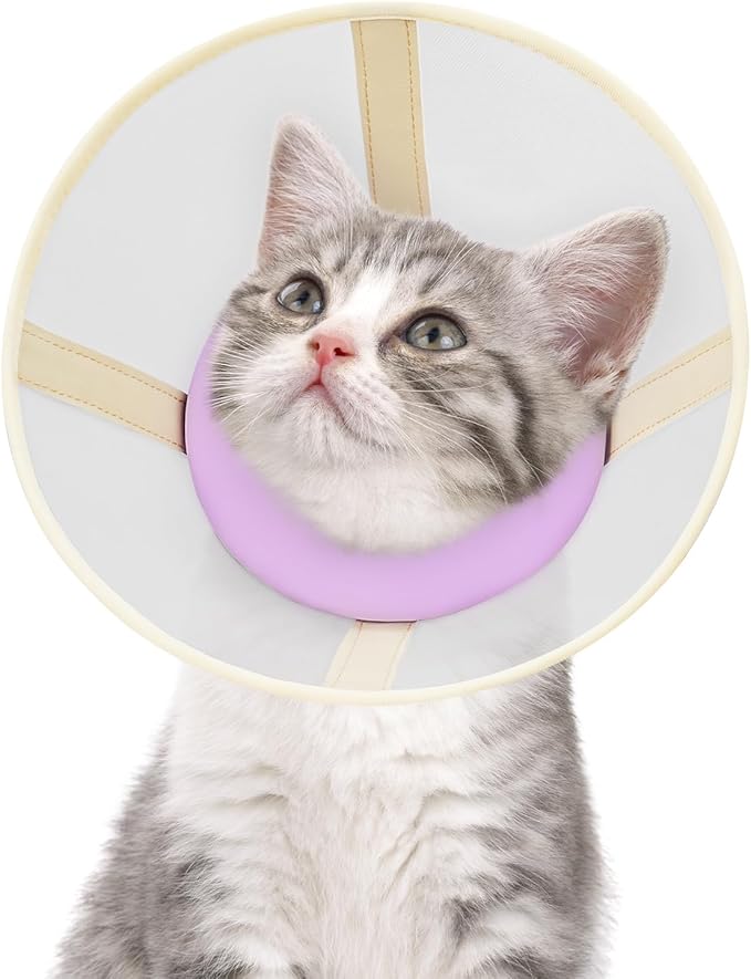 Cat Cone Collar Soft- Adjustable Comfortable Air Mesh Recovery Cone After Surgery to Stop Licking and Scratch, Alternative to Plastic Elizabethan Collar for Cat, Whiskers Freedom (Purple, XS)