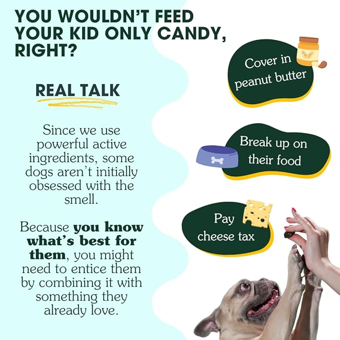 Arterra Longevity Multivitamin for Dogs – 50% Active Ingredients – Vet-Formulated Daily Soft Chews for Gut, Brain, Joint & Immune Health – Human-Grade Supplement | 120 Count