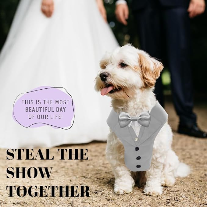 AVERYDAY Dog Tuxedo for Wedding Outfit, Dog Suit and Tie Costumes for Birthday, Halloween, Cosplay, Christmas Party, Pet Formal Wear with Bowtie, Tux for Small Dogs, Chihuahua, Bichon, Maltese, Cats