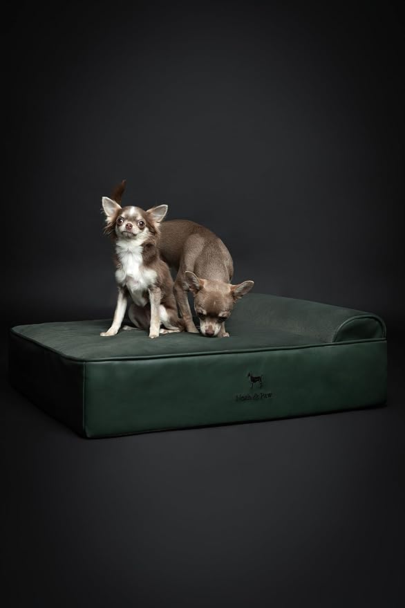 NOAH & PAW Dog Bed, 28x23x7.5 Inch, Orthopedic Dog Beds for Medium Size Pets, Eggshell Memory Foam Infused with Cooling Gel, Waterproof, Machine Washable, Includes Inner Cover (Faux Leather)