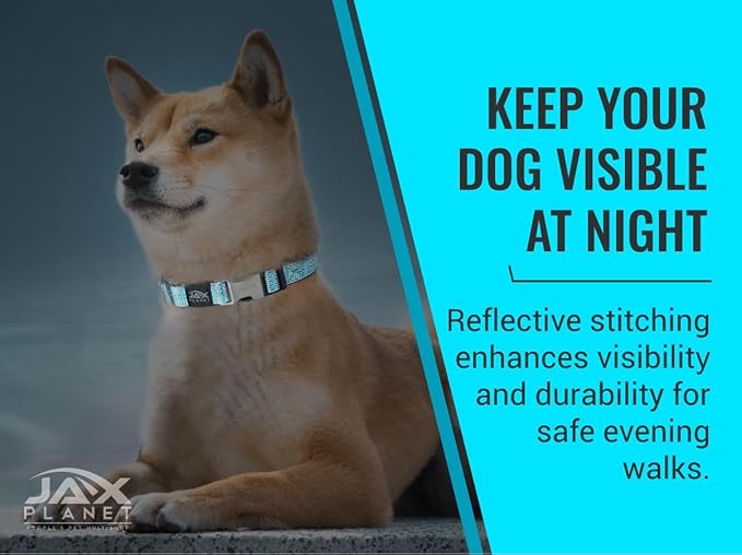 Orange Martingale Collar for Dogs - Heavy Duty Nylon Pet Collars for Escape-Free, No Pull Training & Walking with Alloy Metal Release Buckle & Reflective D Ring, One Time Adjustment, Safe & Secure, M