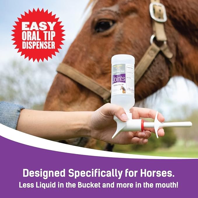 Hyalogic Hyaluronic Acid for Horses 90 Day Supply - 9oz - Easy Oral Tip Dispenser - Liquid HA Supplement for Equine Cartilage Support - Hyalun Pro - 9 oz / 296ml