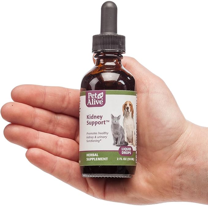 Pet Alive Kidney Support - All Natural Herbal Supplement Promotes Healthy Kidney and Urinary Functioning in Cats and Dogs - 59 mL