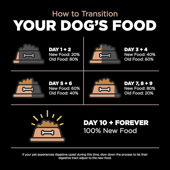 Go! Solutions Digestion + Gut Health, Dry Dog Food, Salmon Recipe with Ancient Grains, 22 lb Bag