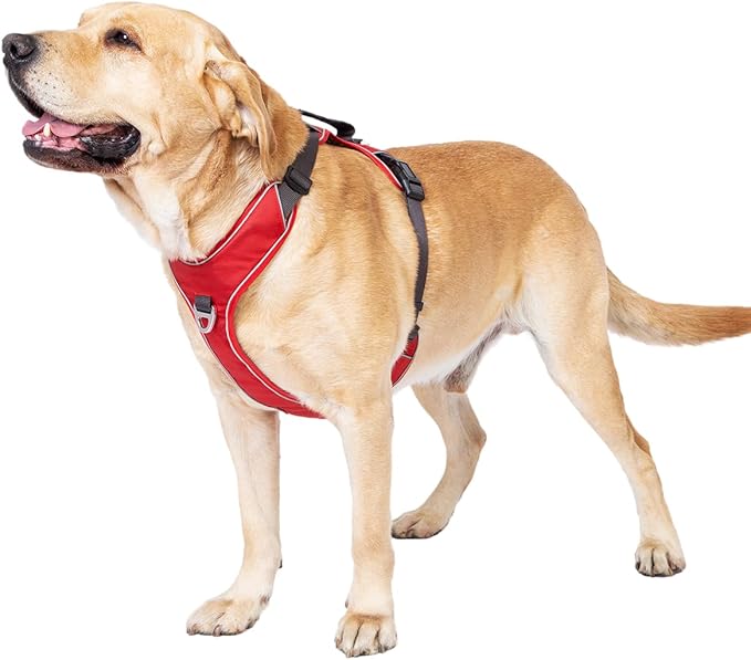 No Pull Dog Harness with 2 Leash Clips, Reflective Vest, Adjustable and Padded, Easy Walk Front/Back Clips (Red, X-Small)