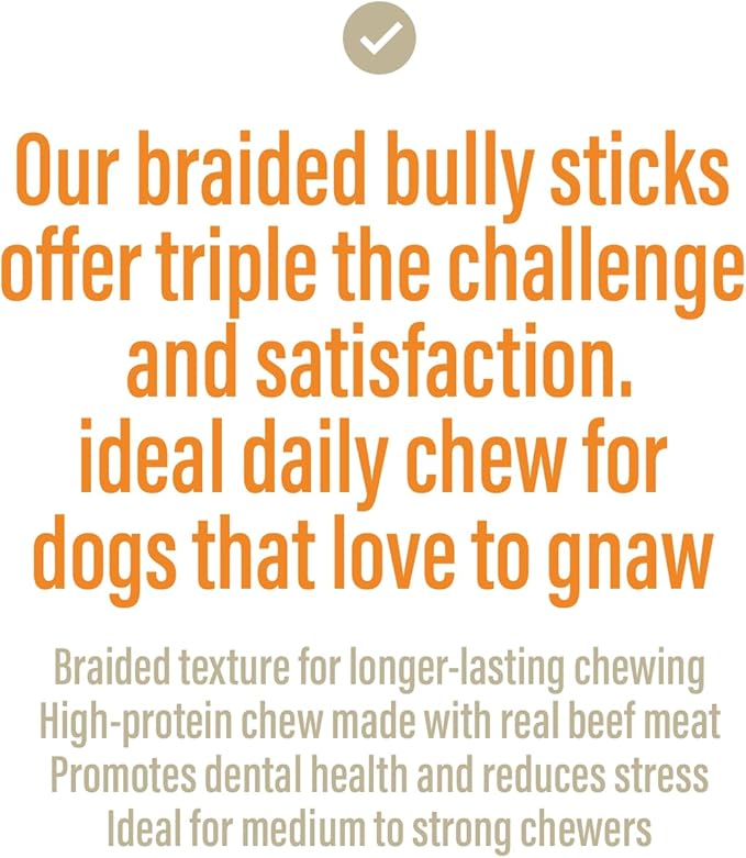 Chewer's Joy Braided Bully Sticks (3 Count) – Natural Dog Treats – Single Ingredient Long-Lasting Chews, High Protein