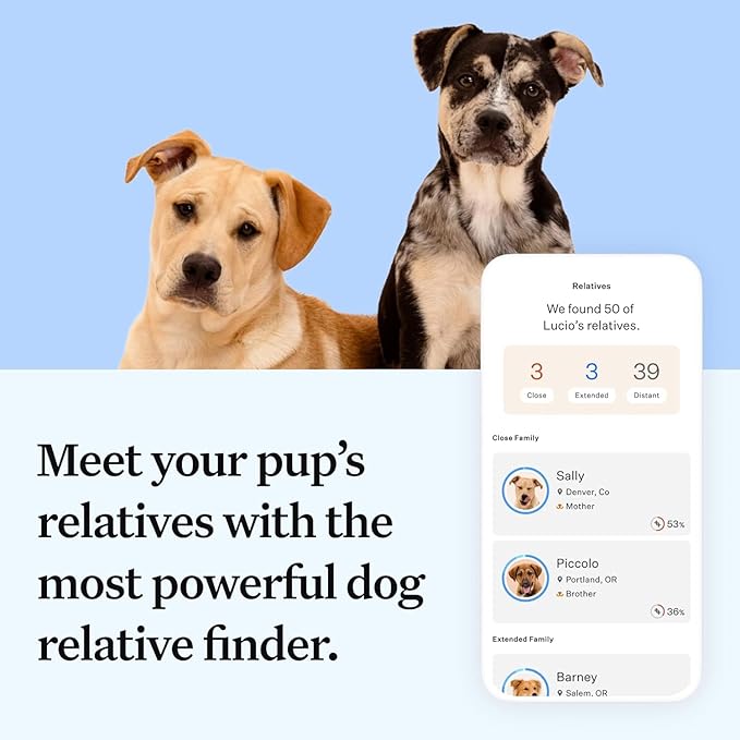 Wisdom Health Essential Dog DNA Kit | Most Accurate Test | 365+ Breeds | 30 Genetic Health Conditions | 50+ Traits, Relatives, Ancestry | Pack of 1