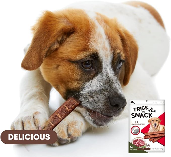 1 LB Variety Pack of Natural Grillers Dog Jerky Treats - Perfect for Training, Walking, and Treating - Made with Real Beef, Chicken, and Salmon (Beef Original Jerky)