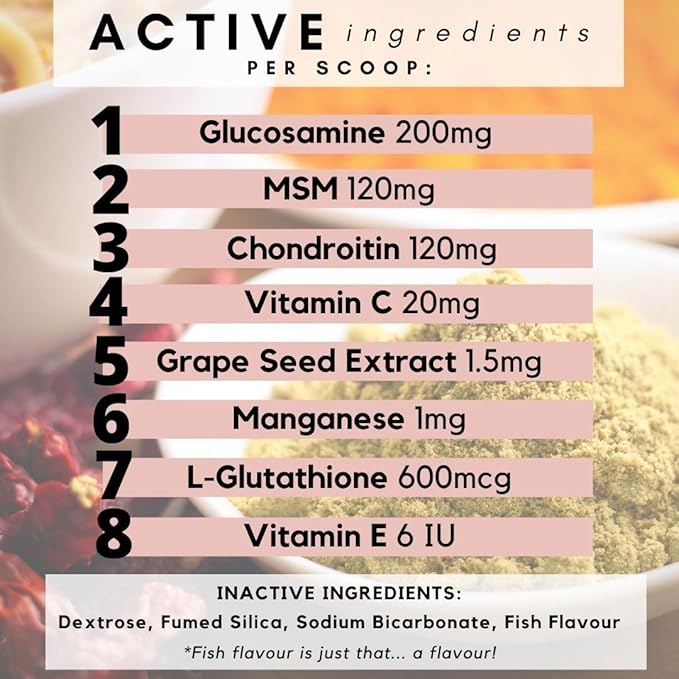 Hip and Joint Supplement for Cats - Glucosamine, Chondroitin, MSM for Joint Hip Care, Arthritis Pain Relief, Mobility Support, Cartilage Health, Inflammation Reduction - Senior Cat Support, 60 Scoops