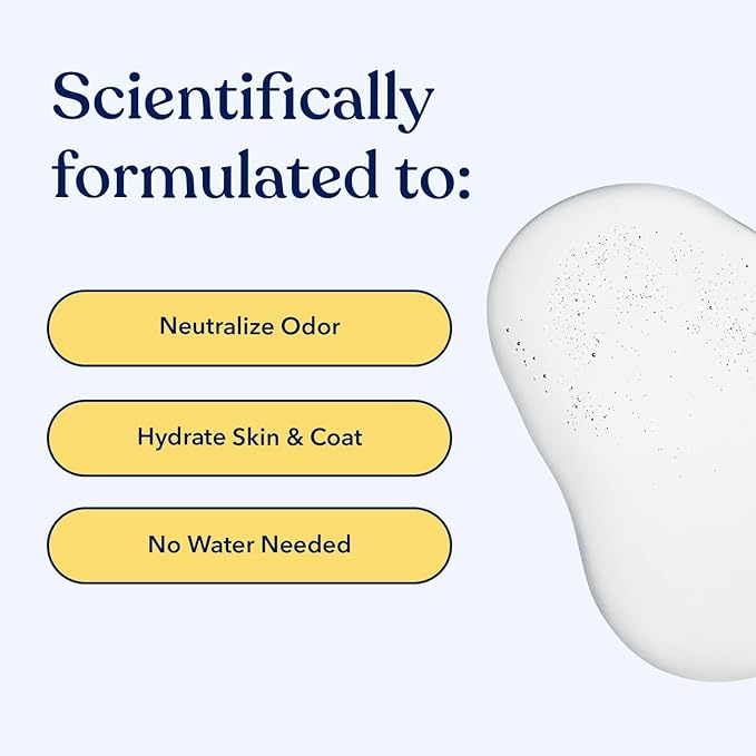 Honest Paws Dog Dry Shampoo - Waterless No Rinse Foaming Formula Reducing Itch Cleanse Hydrate Nourish Dry Skin and Smelly Coat Help Decrease Odor Shedding and Allergies - Oatmeal & Lavender - 8 fl oz