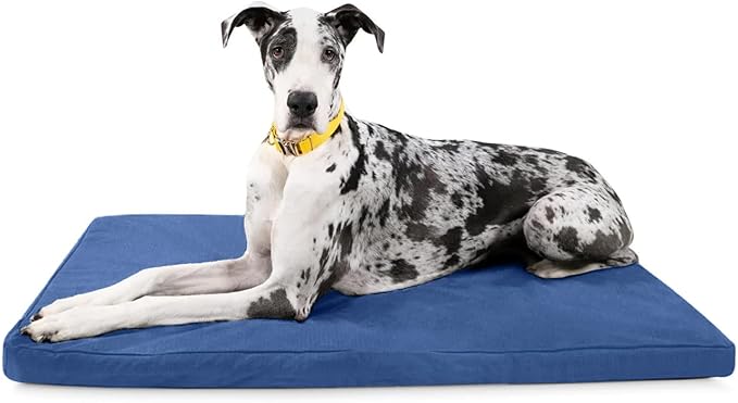 K9 Ballistics Tough Ripstop Orthopedic Crate Bed - Thick, Durable XXL Kennel Pad with Washable Cover for XX Large Dogs, 53 x 36 fits 54” Wire Crate, Blue Quartz