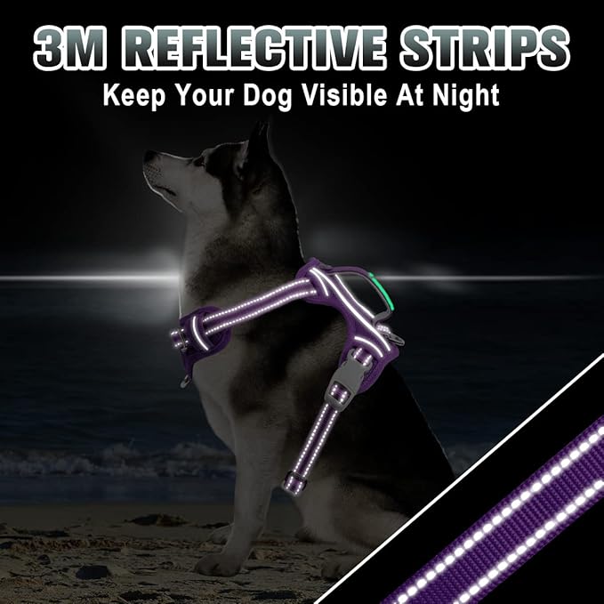BARKBAY No Pull Dog Harness Large Reflective Dog Harness with Front Clip and Easy Control Handle for Walking Training Running with ID tag Pocket(Purple,L)