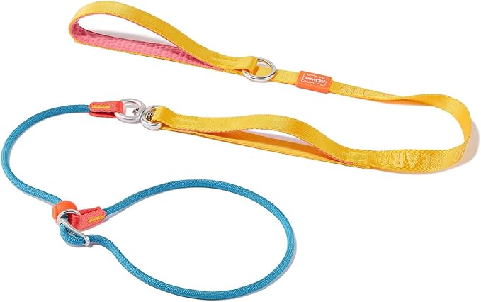 Slip Lead Dog Leash with Double Handles | Reflective Dog Training Leash with 360° Swivel Anti-Tangle | Heavy-Duty Leash and Collar for Large Medium and Small Dogs No-Pull Walking (Multicolor, 5.5FT)
