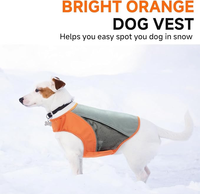 DORA BRIDAL Reflective Dog Vest for Small Dogs, Orange High Visibility Safety Pet Vest for Hunting, Walking at Night