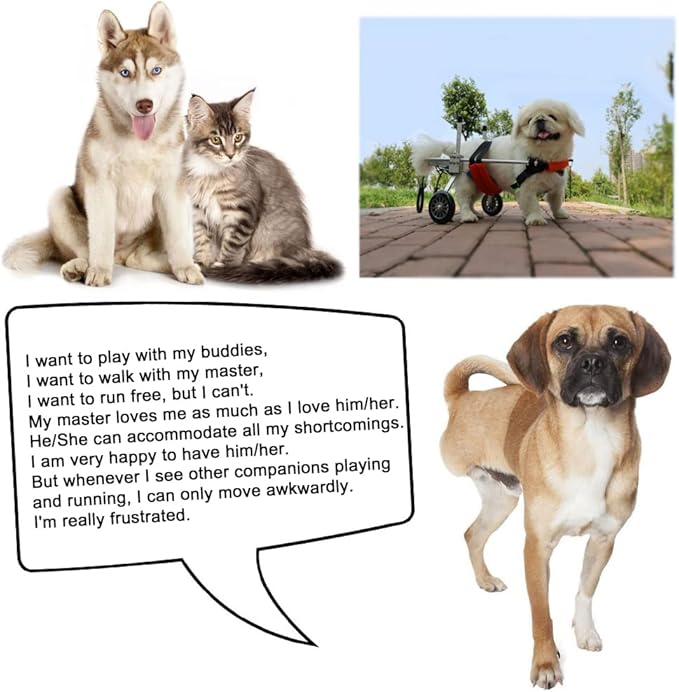 Generic Dog Wheelchair, XXS, Adjustable, Lightweight, Pet/Doggie Wheelchairs for Back Legs Assist Small Pets with Paralyzed Hind Limbs to Recover Their Mobility