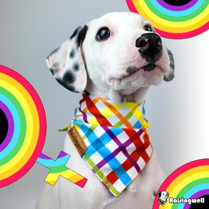 Pride Dog Bandanas 2 Pack, 4 Pattern Reversible LGBTQ+ Rainbow for Boy and Girl, Premium Long-Lasting Fabric, Summer Triangle Scarf for Medium to X-Large Breed Dogs (Large)