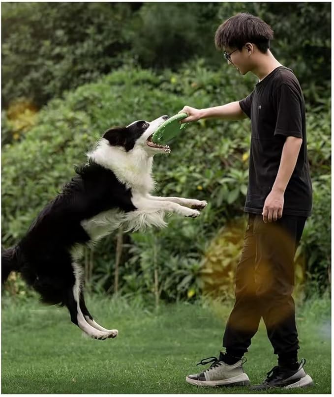 Orange Flying Disc Toy for Dog Outdoor Puppy Dog Pull Loop Toy Water Swimming Pool Lawn Yard Animal Activity Training Toys Sports Gift- 8.26" Interactive and Fun Training Doggy Paddle Flyers